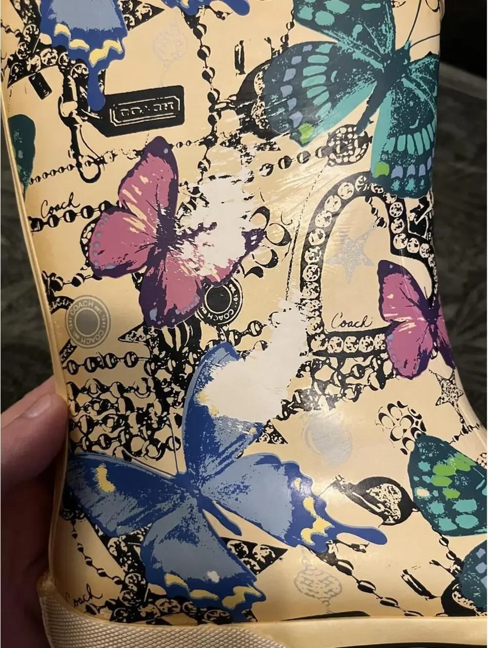 Coach butterfly rain